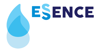 Essence